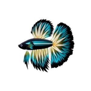 Aqua Radiant Betta